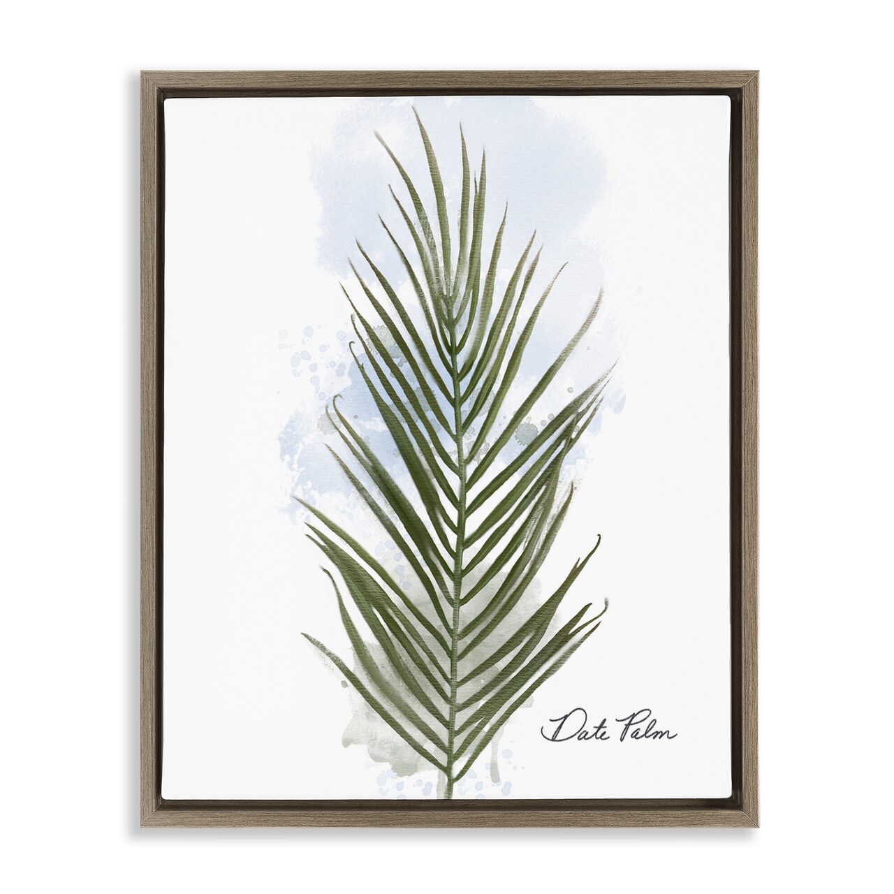 Stupell Industries Modern Date Palm Leaf Floating Frame By Matthew Piotrowicz